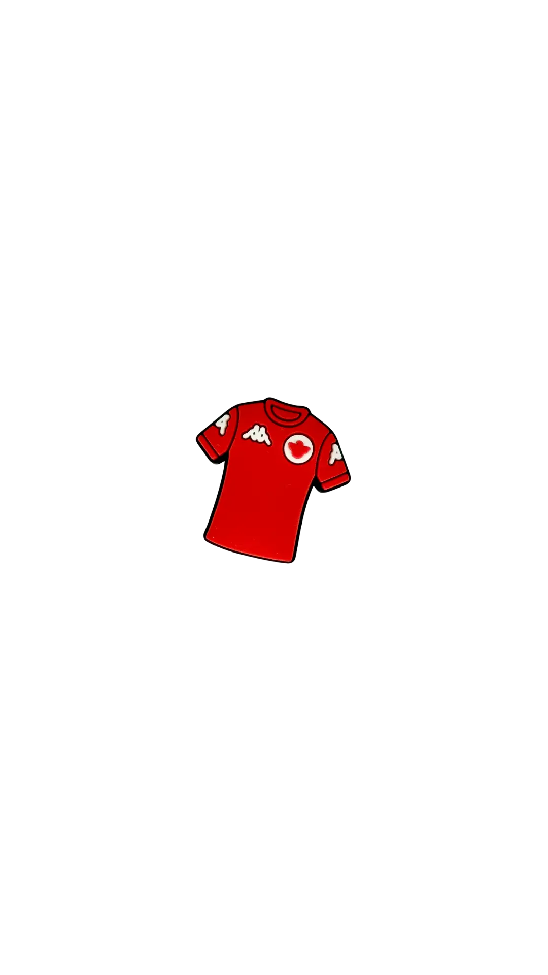 Pins maillot de la Tunisie ZINA