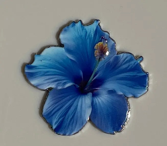 Nawara ZINA