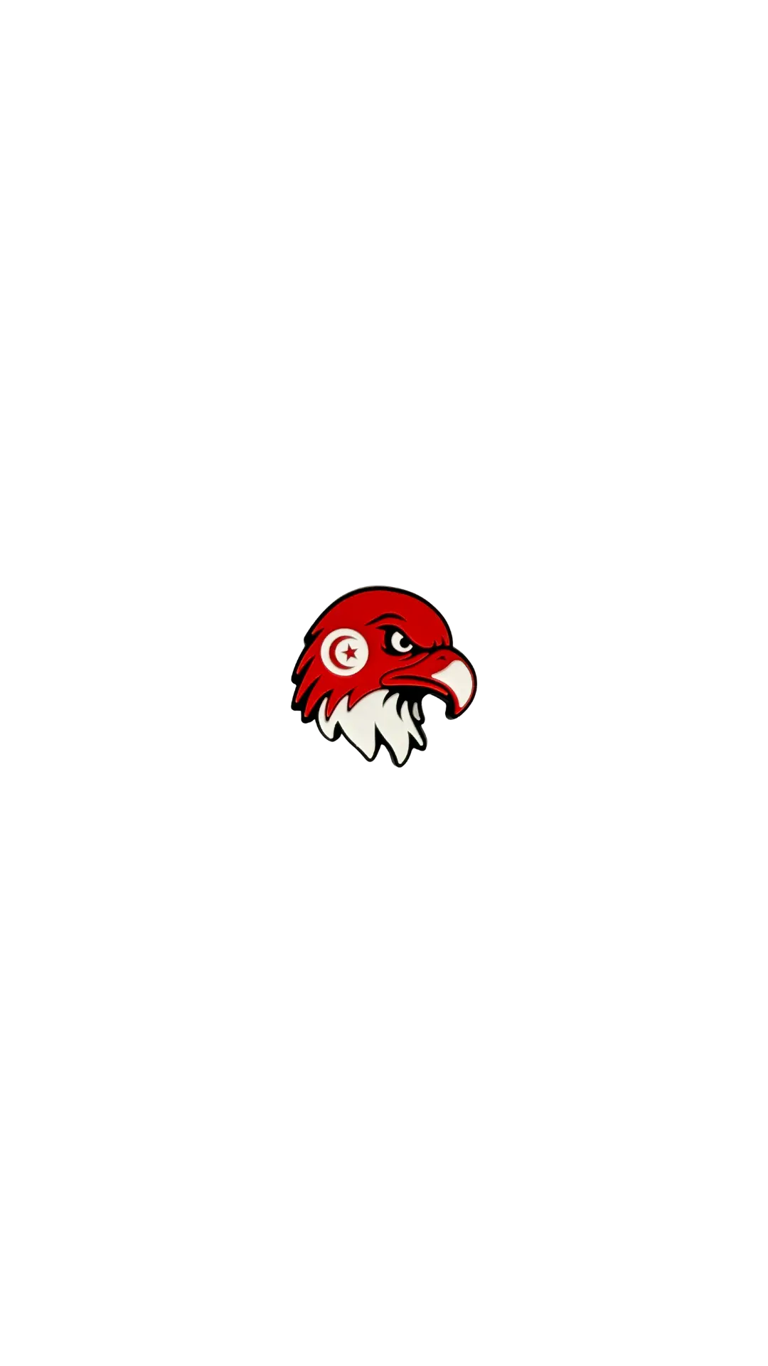 Sticker Aigles de carthage TN ZINA