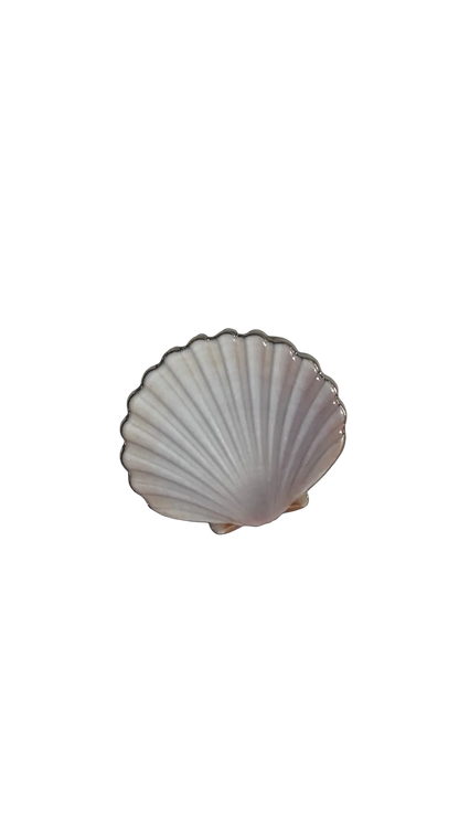 Baboucha ZINA